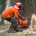 The Average Cost for Tree Removal in Fayetteville, Georgia