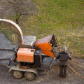 The Process of Disposing Tree Debris After a Removal in Fayetteville, Georgia