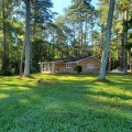 The Expert Guide to Fayetteville Georgia Tree Service