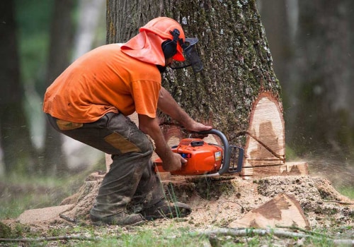 The Average Cost for Tree Removal in Fayetteville, Georgia