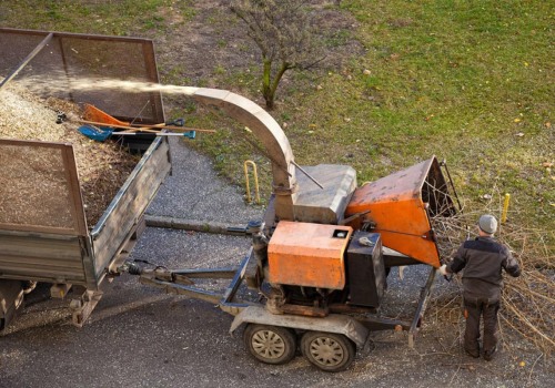 The Process of Disposing Tree Debris After a Removal in Fayetteville, Georgia