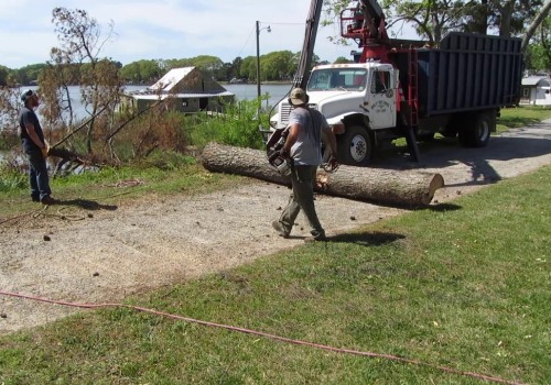 Fayetteville Georgia Tree Service: Offering Free Estimates for Quality Tree Care